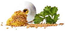 visuel_activites